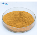 Fast shipped mint leaf extract powder/mint extract powder