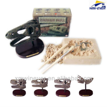 Mid. Dino Skull w/wooden base, 4 assorted.