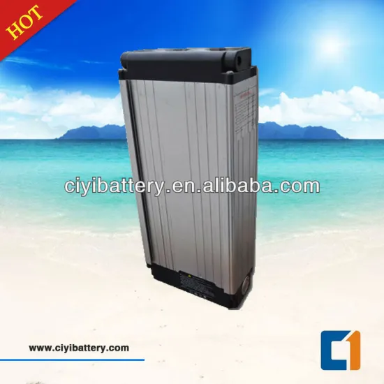 Hot Sales E-Bike LIFEPO4 battery 48v 10ah LI-FE Battery