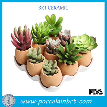 Adorable Set Of Eggs Design Garden Pot