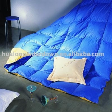 Down Quilt