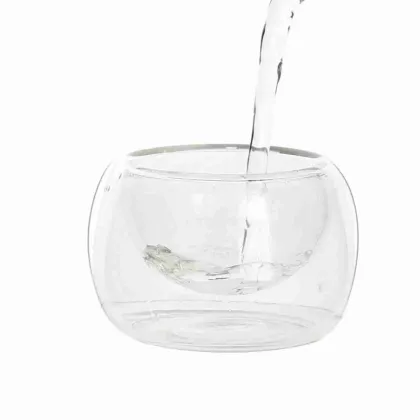 Small Insulated Glass Tea Cup