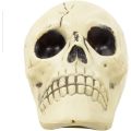 Halloween Plastic Skull toys