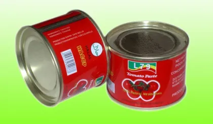 70G China Factory Hot Sell Nature Canned Tomato Paste