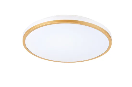 LED bathroom customized ceiling light
