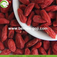 Perder peso Natural Dried Nutrition Himalayan Goji Berry