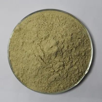 Organic bitter gourd powder