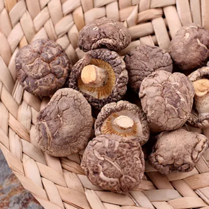 Edible Fungi Dried Shiitake Mushrooms