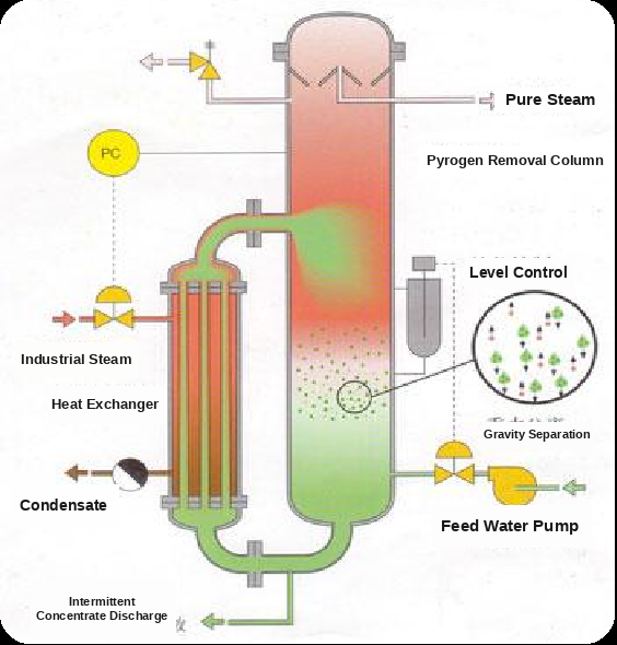 process_flow_EN