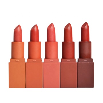 Hot menjual label pribadi lipstik matte mini set dalam 5 warna