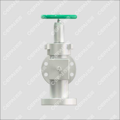 Needle Shaped Choke Valve