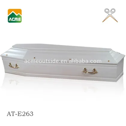 wholesale best price cardboard caskets princess diana coffin
