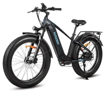 Eagle All-Terrain 2.0 48V 20Ah Fat Tire Electric Bike