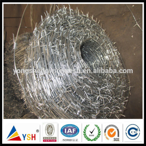 Electric Galvanized Barbed Wire(Really Factory)