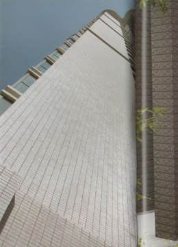 Outdoor Wall Tile
