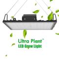 600W Grow Light Full Spectrum para plantas en flor