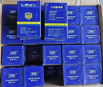 Yunnei D25 engine diesel filter F1171-061 F1170-061