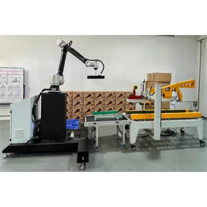 Advanced Robotics Solutions: End-of-Line Packaging, Bag Palletizing with Collaborative Robots