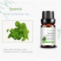 Spearmint Water Soluble Essential Oil For Aroma Diffuser