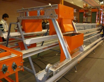 Automatic Birds Cages