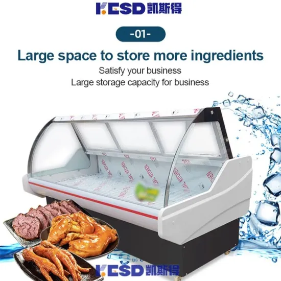 Good Quality Fridge Display Fish Meat Display Freezer Refrigerator
