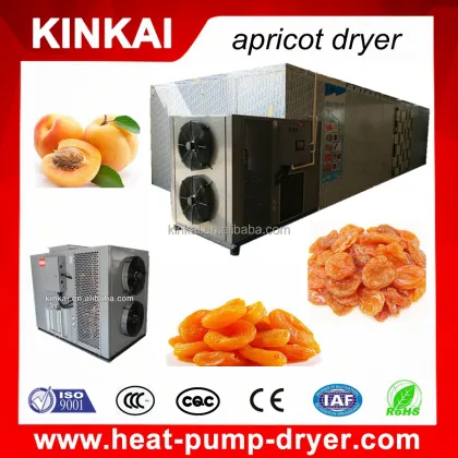 Hot Air System Dryers: Areca Nut, Betel Nut, and Fruit Drying Ovens
