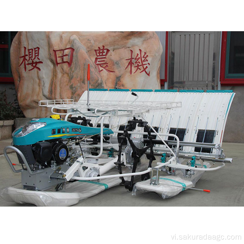 4 hàng Transplanter trang trại đi bộ