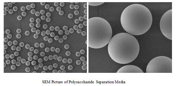 Polysaccharide  Separation Media