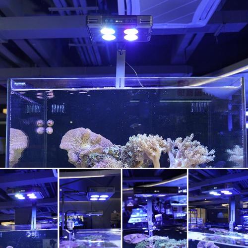 Tanque de peixes de água salgada programável luz LED para aquário