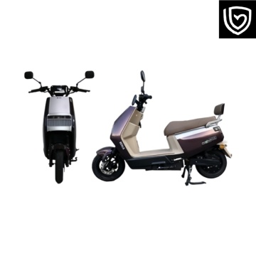 Cutting-Edge DesignPerformance Electric Mobility Model