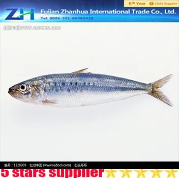 sardine fishing net ingredient canned sardine fish