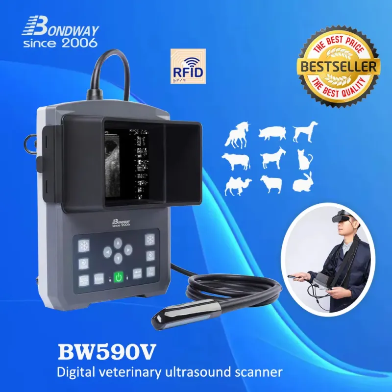 Veterinary Ultrasound Scanning Machine Bw590V