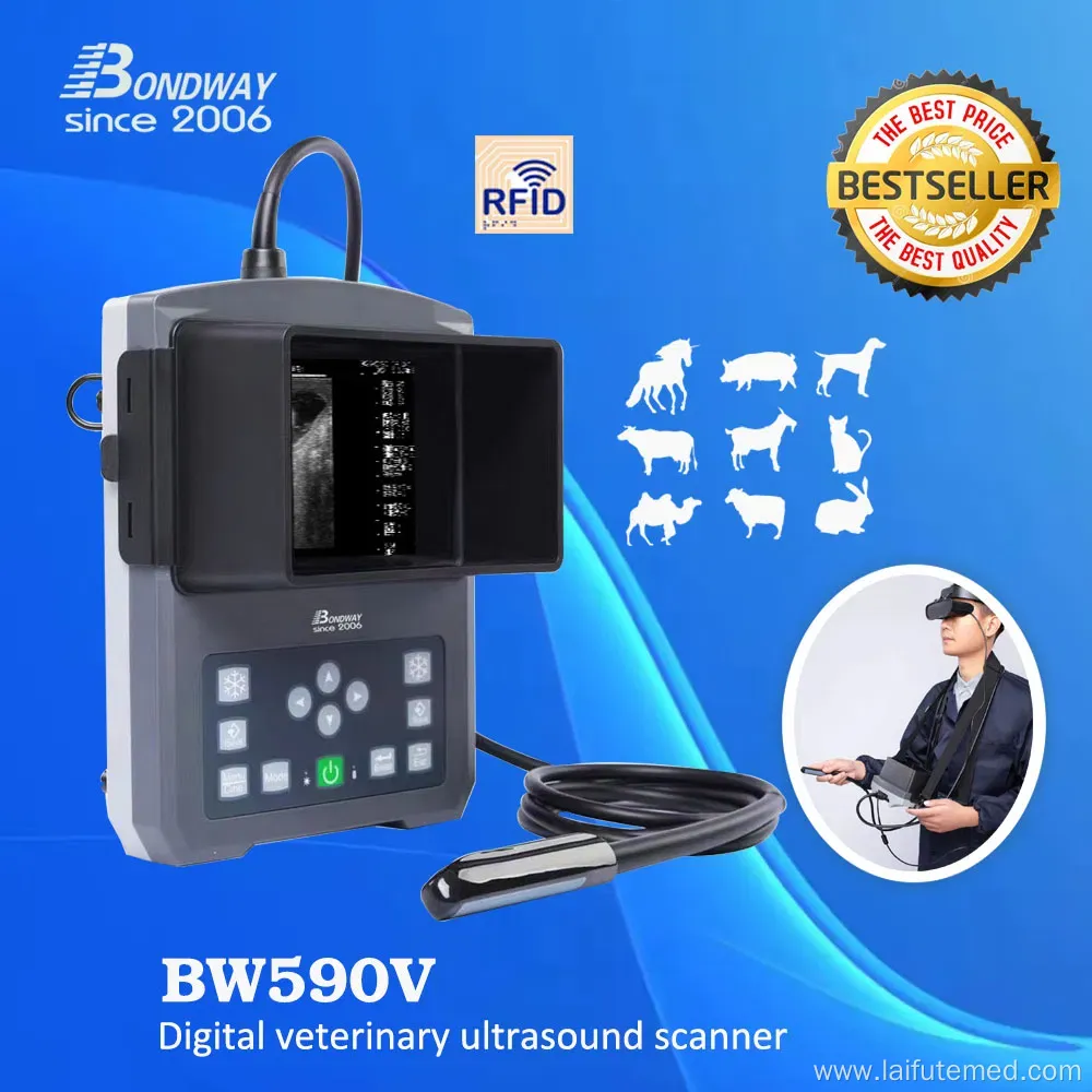Veterinary Ultrasound Scanning Machine Bw590V