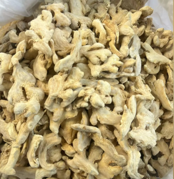 Customize Package Dried Ginger 10kg Carton ISO 19100