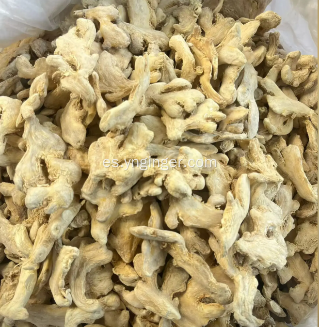 Personalice el paquete de jengibre seco, cartón de 10 kg ISO 19100