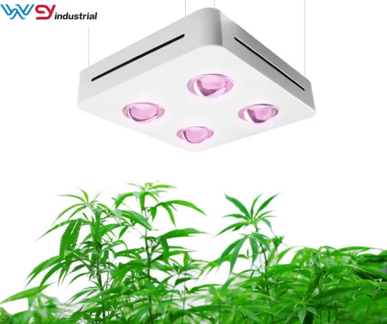 Best Cob LED Grow Light 400W