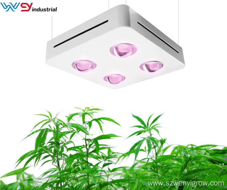 Best Cob LED Grow Light 400W