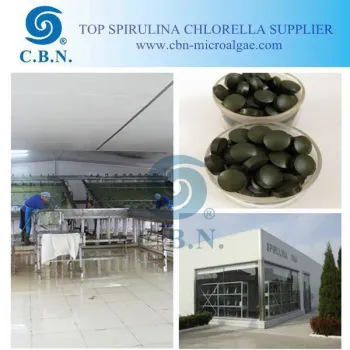Organic food grade spirulina tablet
