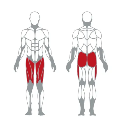 Commercial Prone leg curl