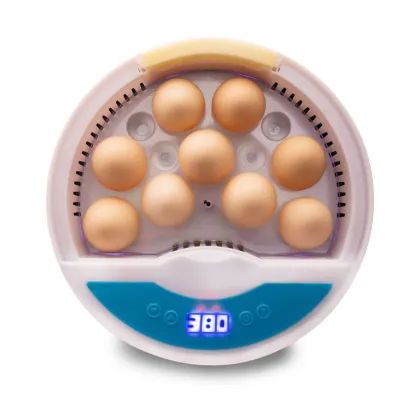 High Quality EW9-9 Mini Egg Hatching Machine: Quail Egg Tester Incubator