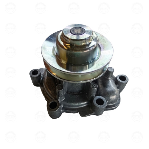 WX2105746 Cooler pump FOR HD75 2105746