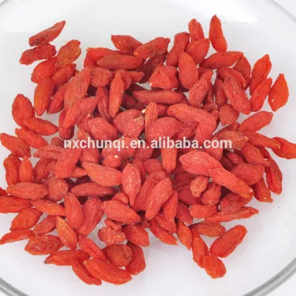 NEW CROP SUPERFOOD GOJI BERRY