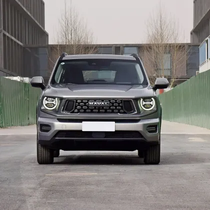 Direct Factory Price Haval Dargo 2023 New SUV - 1.5T/2.0T Fuel Vehicle