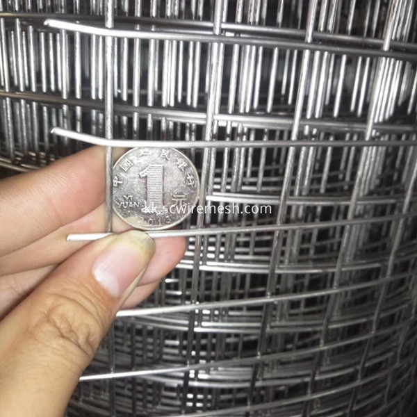 welded wire mesh roll