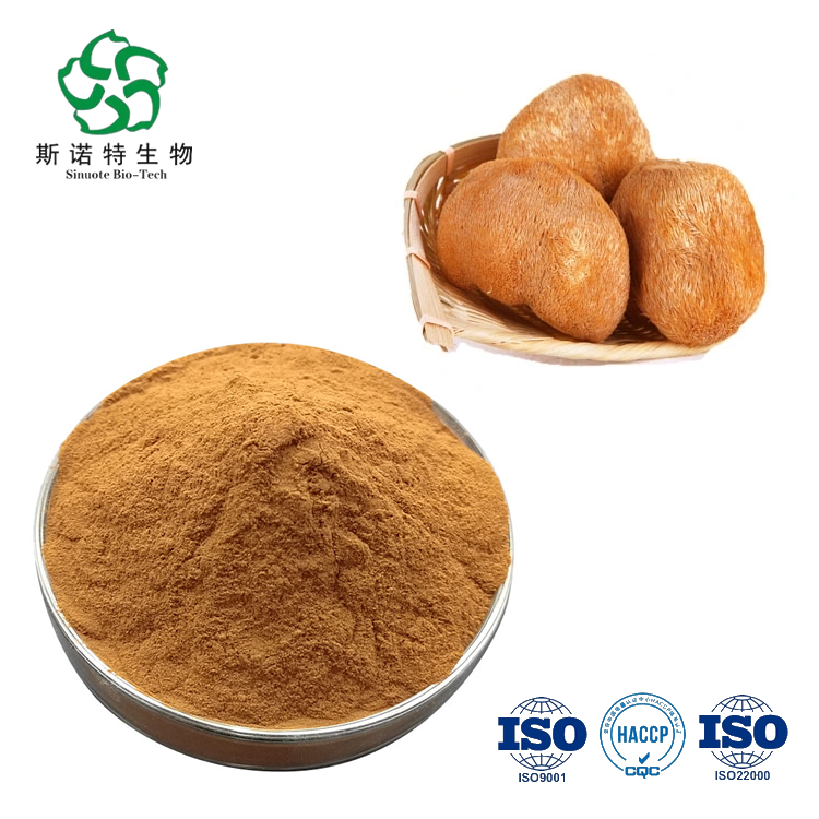 Provide Food Grade Lions Mane Mushroom Extract Powder