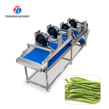 TS-FX35 Industrial Conveyor Belt Dewatering Dehydrator Vegetable Air Drying Machine