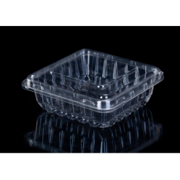 Clamshell plastic box with blueberry