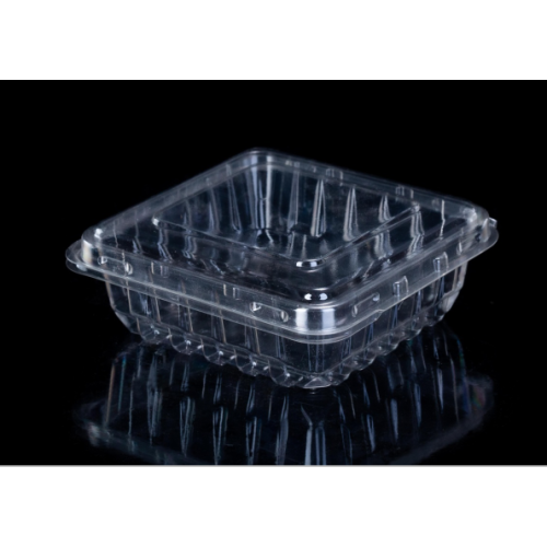 Clamshell plastic box with blueberry