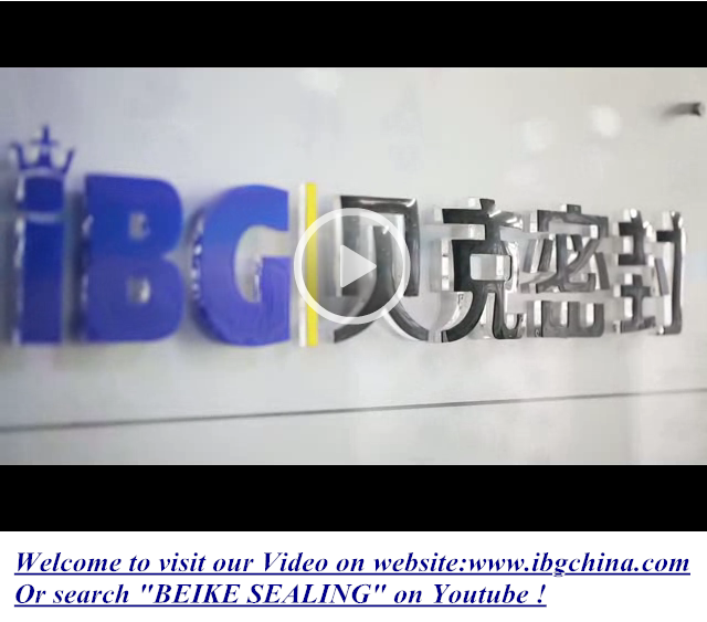 IBG Video IBG Video