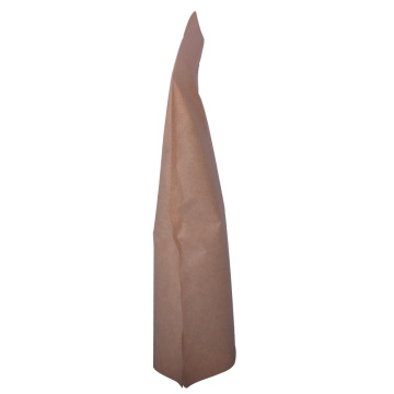 Normal materials nature kraft paper bag for food